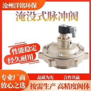 Vanne solénoïde à impulsion Cangzhou Yangming pour la protection de l'environnement, type submergé à angle droit, pour la suppression des poussières dans les cimenteries - Product Image 5