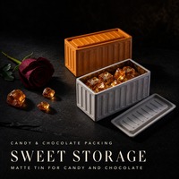 Op maat gemaakte mini verzendcontainer blikken doosje 115x50x55 mm matte blikken doos voor snoep en chocolade 10 kleuren groothandel OEM