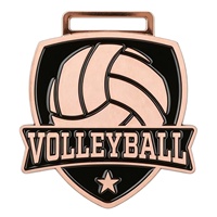 Médaille de sport personnalisée gravée en alliage de zinc, métal 3D embossé, plaqué or, trophée de vainqueur, médaille de volley-ball