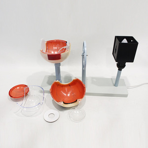 Modèle agrandi d'un simulateur d'imagerie oculaire ; Simulateur du principe de l'imagerie oculaire ; Expérience de biologie pour collégiens - Product Image 3