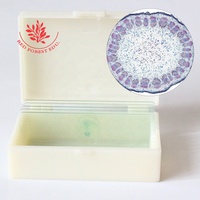 Dicotyledonous Plant Stem Cross Cut Sunflower Stem Cross Cut Slide Fresh Clear and Easy to See Biological Microscope Slide