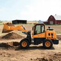 Chargeuse sur pneus compacte personnalisée, directement de l'usine, Euro 5 CE EPA, machines de construction, mini-chargeuse, chargeuse hydraulique agricole et forestière