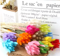Herbe de queue de lapin séchée - Bouquets de fleurs naturelles préservées pour accessoires photo, décoration de mariage et événements (30/60 pièces)