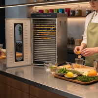 24 Bakjes Grote Elektrische Commerciële Voedseldehydrator Te Koop CE ISO Gecertificeerd voor Massaal Fruit, Groenten en Gedroogd Vlees