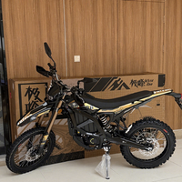 Nouvelle Moto Tout-Terrain Surron Ultra Bee 2026 Haute Vitesse 24.5kW 74V 60Ah En Stock