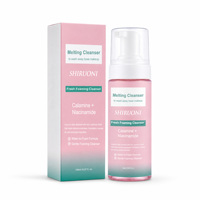 Nettoyant Visage Moussant Doux au Niacinamide et à la Calamine Marque Blanche – Démaquillant OEM ODM