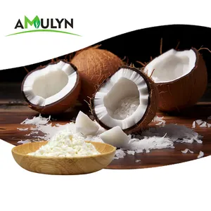AMULYN Poudre de lait de coco sans produits laitiers et sans gluten de qualité supérieure