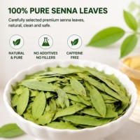 Thé de séné pour diététiciens, pour la purification corporelle, sachets de thé de feuilles de séné pures, thé de feuilles de séné amincissant, prêt à être expédié
