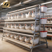 Jaulas de batería galvanizadas tipo A para gallinas ponedoras, para granja avícola, en venta