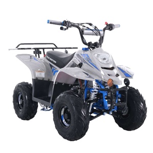 Quadricycle Tao Motor, nouveau design, ATV pas cher pour enfants, 110cc, à vendre, <span class=keywords><strong>buggy</strong></span> de plage - Product Image 2