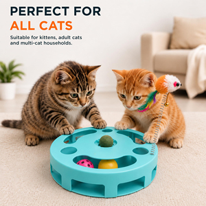 Nouveau Jouet pour animaux de compagnie : Plateau tournant creux multifonctionnel, jouet éducatif et anti-stress pour chat, avec teaser pour chat - Product Image 4