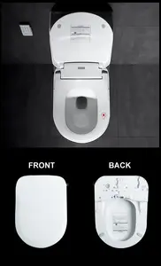 बुद्धिमान बिडेट शौचालय सीट