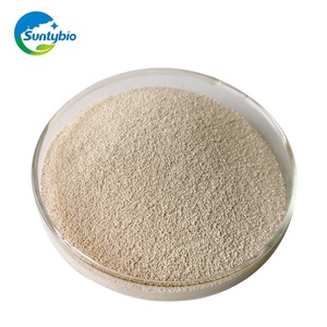 OT ALE Nimal EED robióticos 20 Billion/G Live East accharomyces erevisiae - Product Image 2
