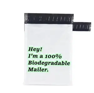 छोटे MOQ कस्टम मुद्रित Biodegradable खाद मेलिंग बैग