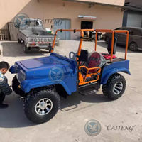 Remorques de moto Caiteng pour mini-jeep 4x4 - Moteur 300cc/200cc/250cc, électrique/essence, transmission automatique, pour adultes