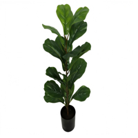 Objets décoratifs en plastique, Ficus lyrata artificiel, décoration pour événements de remise de diplômes, fêtes, cadeaux, décoration et fournitures de mariage