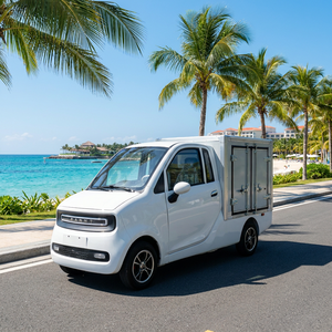 Camion électrique 2026 pour adultes, 2 places, design carrosserie ouverte, certifié EEC COC, autonomie <<span class=keywords><strong>100</strong></span> km NEDC, fabriqué en Chine, véhicule électrique - Product Image 5