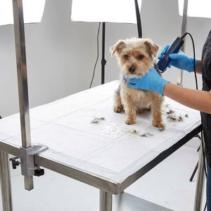 Tapis absorbants jetables pour chiens, faciles à nettoyer et sans désordre, gardent la surface sèche pour les animaux, même lorsqu'ils sont mouillés - Product Image 3