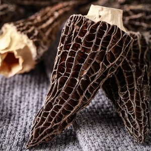 <span class=keywords><strong>Prix</strong></span> d'usine <span class=keywords><strong>Morilles</strong></span> <span class=keywords><strong>Morilles</strong></span> séchées - Product Image 4