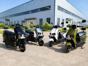 Scooter Eléctrico de Dos Ruedas de Alta Calidad con Marco de Aluminio de 800W, Batería de Litio Impermeable y Faro Delantero - Product Image 2
