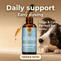 Gouttes liquides probiotiques pour chiens, 7 souches, prébiotiques, absorption rapide, équilibre intestinal, sirop premium, facile à administrer, marque privée
