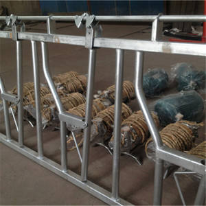 Équipement d'élevage galvanisé économique : Cadenas de tête pour bovins, épaisseur 3 mm - Product Image 2