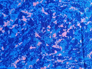 Vải Nhung Lông Chải Ngắn Dệt Kim Trực Tiếp Từ Nhà Máy 100% Sợi Nhân Tạo Để Bọc Ghế Xe Buýt - Product Image 3