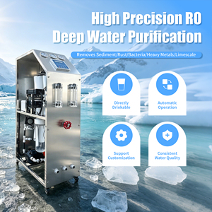 Système d'eau compact en acier inoxydable 250L/h, équipement haute efficacité pour la purification, pompe et PLC pour cuve - Product Image 1