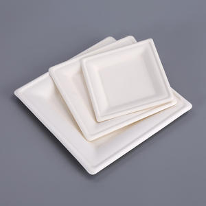 Vaisselle jetable personnalisée en pulpe de canne à sucre, assiettes carrées compostables 100% biodégradables pour fêtes - Product Image 1