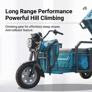 Tricycle électrique à <span class=keywords><strong>3</strong></span> roues robuste pour livraison de marchandises sur routes accidentées, 1000W, haute vitesse, <span class=keywords><strong>moto</strong></span> cargo à <span class=keywords><strong>3</strong></span> roues pour adultes - Product Image 3