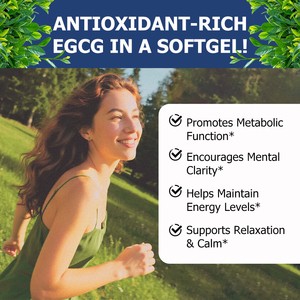 Wholesale Price Green Tea Extract Softgels with Green Tea Extract Promotes Metabolic Function Mental Clarity Maintain Energy - Product Image 3