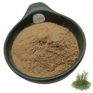 <span class=keywords><strong>100%</strong></span> atkuyruğu bitki özü tozu 10:1 su Solbule Equisetum Arvense atkuyruğu özü kozmetik için % 7% silikon alkolsüz - Product Image 2