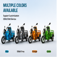 Tricycle électrique de transport en gros 800W 60V, moto à trois roues robuste avec caisse de chargement