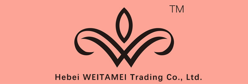 Hebei Wetamei Technology Co., Ltd. logo
