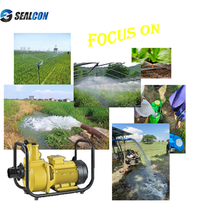 Hybrid Solar <b>Pump</b> Manufacturers 2.2 KW 3 High Power 20m Head Ground <b>Pump</b> Solar Driven <b>Pump</b> for Agriculture Irrigation AC/DC60-20 - Product Image 4