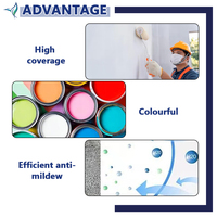 Couleur Poudre Mur Revêtement Imperméable À L'eau Peinture Microciment Plâtre Vénitien Stuc Peinture Piscine Plâtre Construction Plâtre