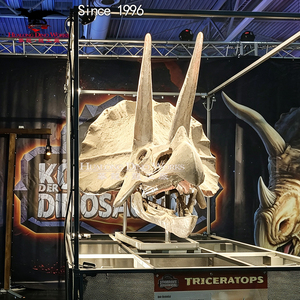 Fiberglass Dinosaur Skeleton Display T <strong>Rex</strong> Fossil Replica Museum Exhibition Decoration - Product Image 3
