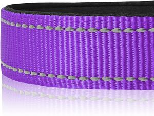 Correa de Perro Ajustable de Lujo con Acolchado de Neopreno Suave, <span class=keywords><strong>Collar</strong></span> de Perro Reflectante Personalizado, Correa de Encaje Europea de Venta Caliente - Product Image 3