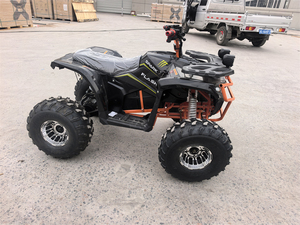 Factory Price Battery Powered Chain Drive <strong>1000W</strong> Brushed Motor Mini <strong>Electric</strong> <strong>Quad</strong> <strong>Bike</strong> Atv for Kids - Product Image 6