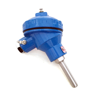 Sonde de température à thermocouple platine-rhodium de type B S R haute température 1600°C pour four industriel
