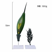 Modèle anatomique de fleur de blé botanique Xuequan M-060, modèle anatomique pédagogique pour l'école, matériau PVC durable, 36x10.5x12.5cm