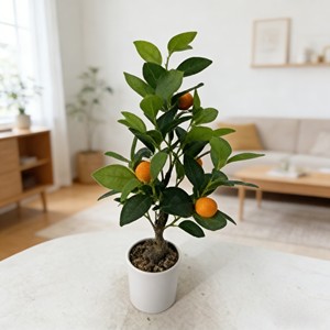 Árbol de Naranjas Artificial, Árbol Artificial, Árbol de Frutas Artificial, Árbol de Naranjas - Product Image 3