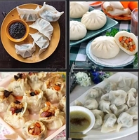 Offre Spéciale : Machine à former les Siomai/Shumai/Shaomai (900-1200 pièces)