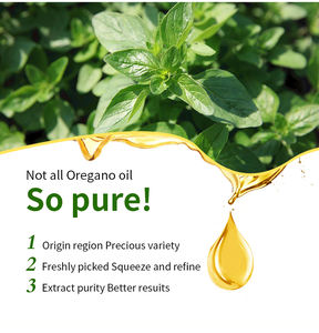 En stock, vente en gros, huile d'<span class=keywords><strong>origan</strong></span> 100% pure naturelle biologique avec huile essentielle <span class=keywords><strong>de</strong></span> carvacrol pour massage corporel, parfum épicé - Product Image 3