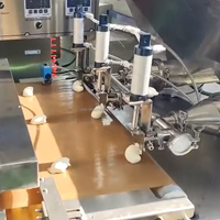 Machine à fabriquer des pains roti, chapati, pita, lavash et tortillas, ligne complète