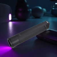 Lampe torche LED UV 365nm en alliage d'aluminium pour le camping avec indice de protection IP66 rechargeable