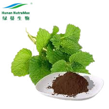 メリッサオフィシナリスL。レモンバーム葉エキスとフラボノイド、ローズマリー酸、<span class=keywords><strong>4</strong></span>:<span class=keywords><strong>1</strong></span>から20:<span class=keywords><strong>1</strong></span>の抽出 - Product Image 3