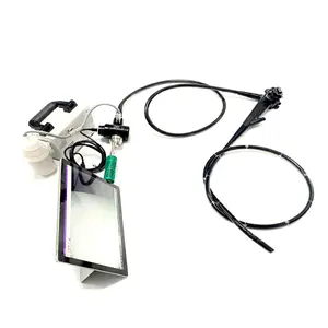 EUR VET Hot Sale Portable Flexible Fiber Ureteroscope Medical Equipment Light Source Endoscope for Veterinary Hospital