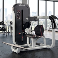 Machine d'extension dorsale avec pile de poids sélective pour l'entraînement en position assise des muscles lombaires et des érecteurs dorsaux