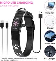 Collier lumineux pour chien Nibao, collier LED pour chien, rechargeable par USB, réglable, collier lumineux super brillant pour la nuit